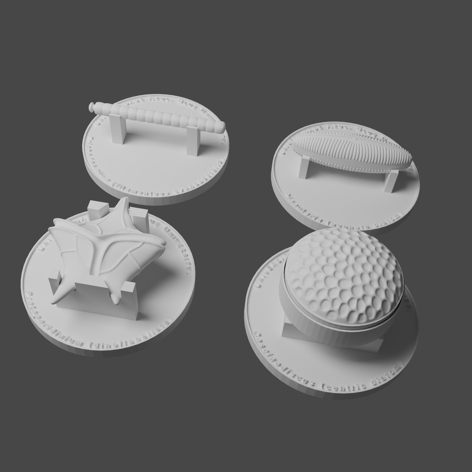 Modelo de fóssil 1 - vista 1